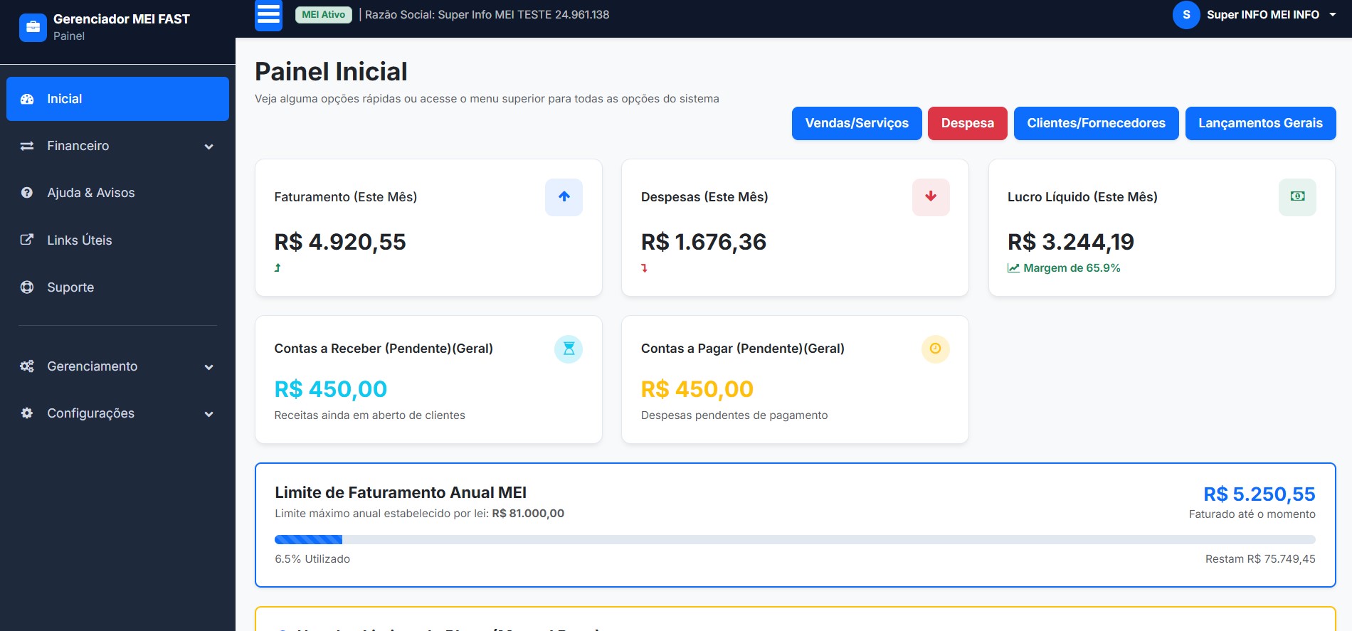 Visão Geral do Resumo Mensal - Gerenciador MEI Fast